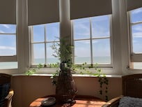 Room with a view