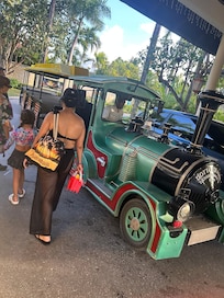 Excelente trolly service