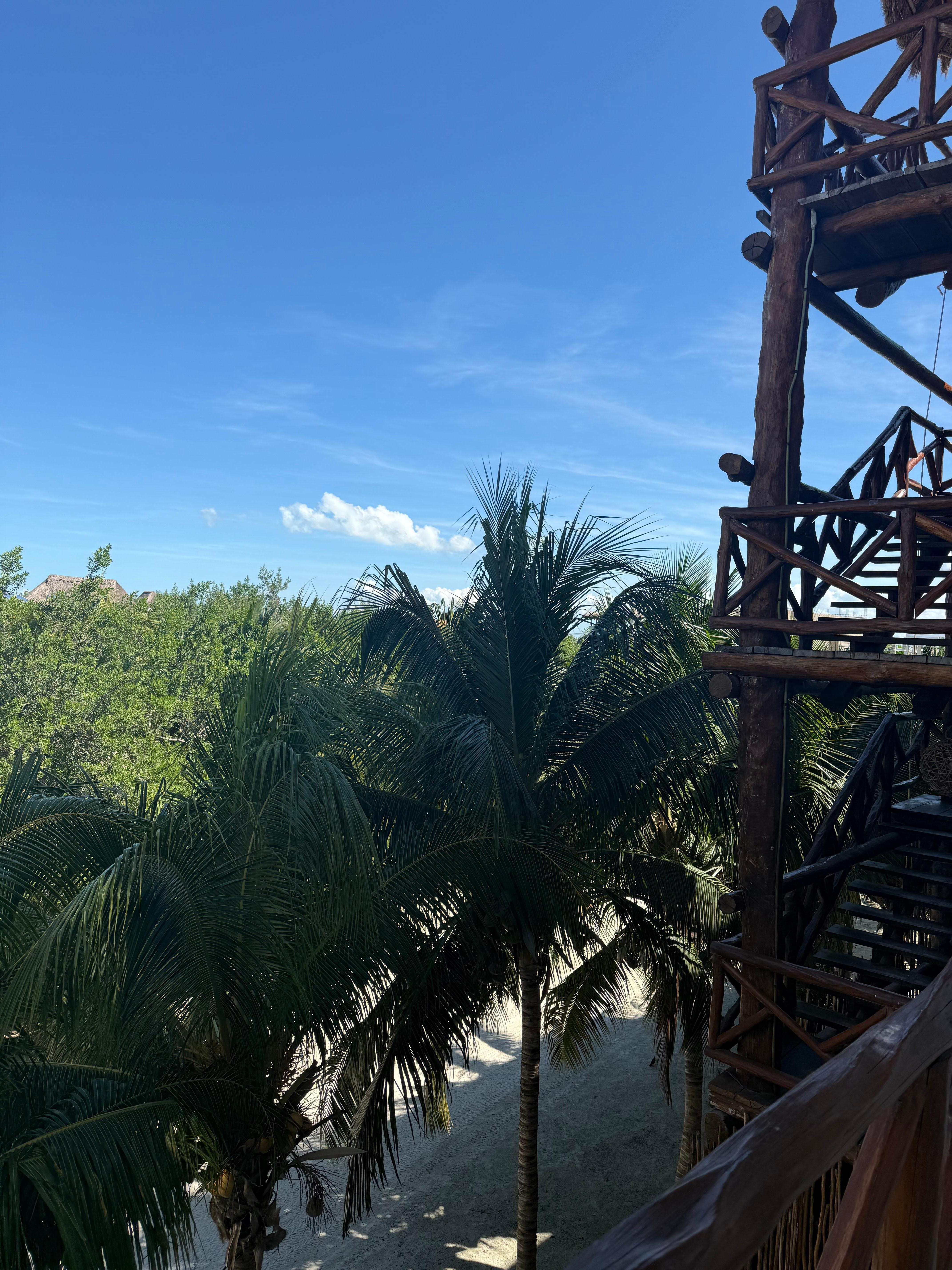 View from the 2nd floor. Feels like a rustic resort!