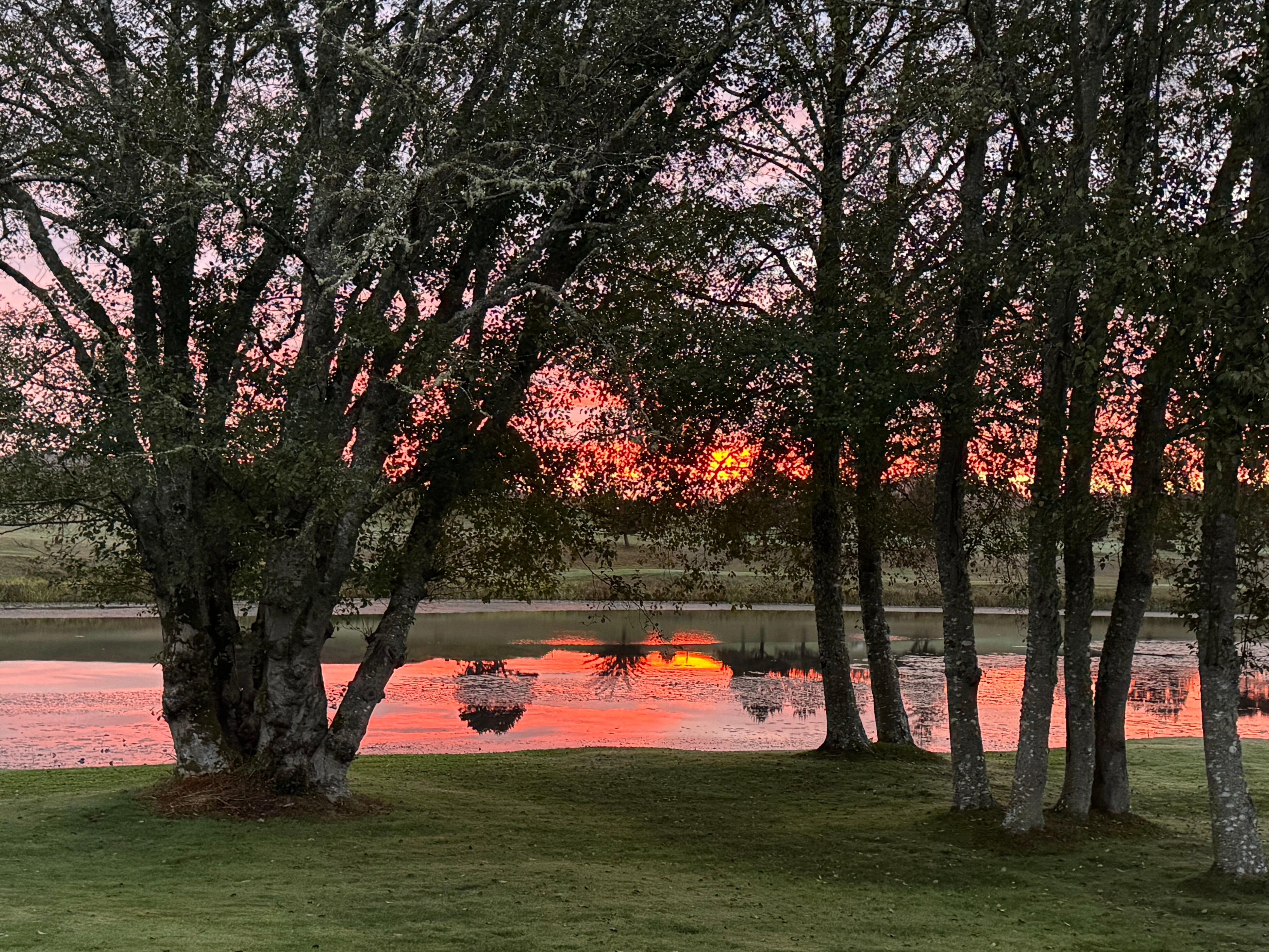 Sunrise from the porch