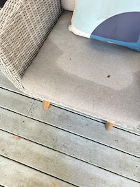 porch cushions