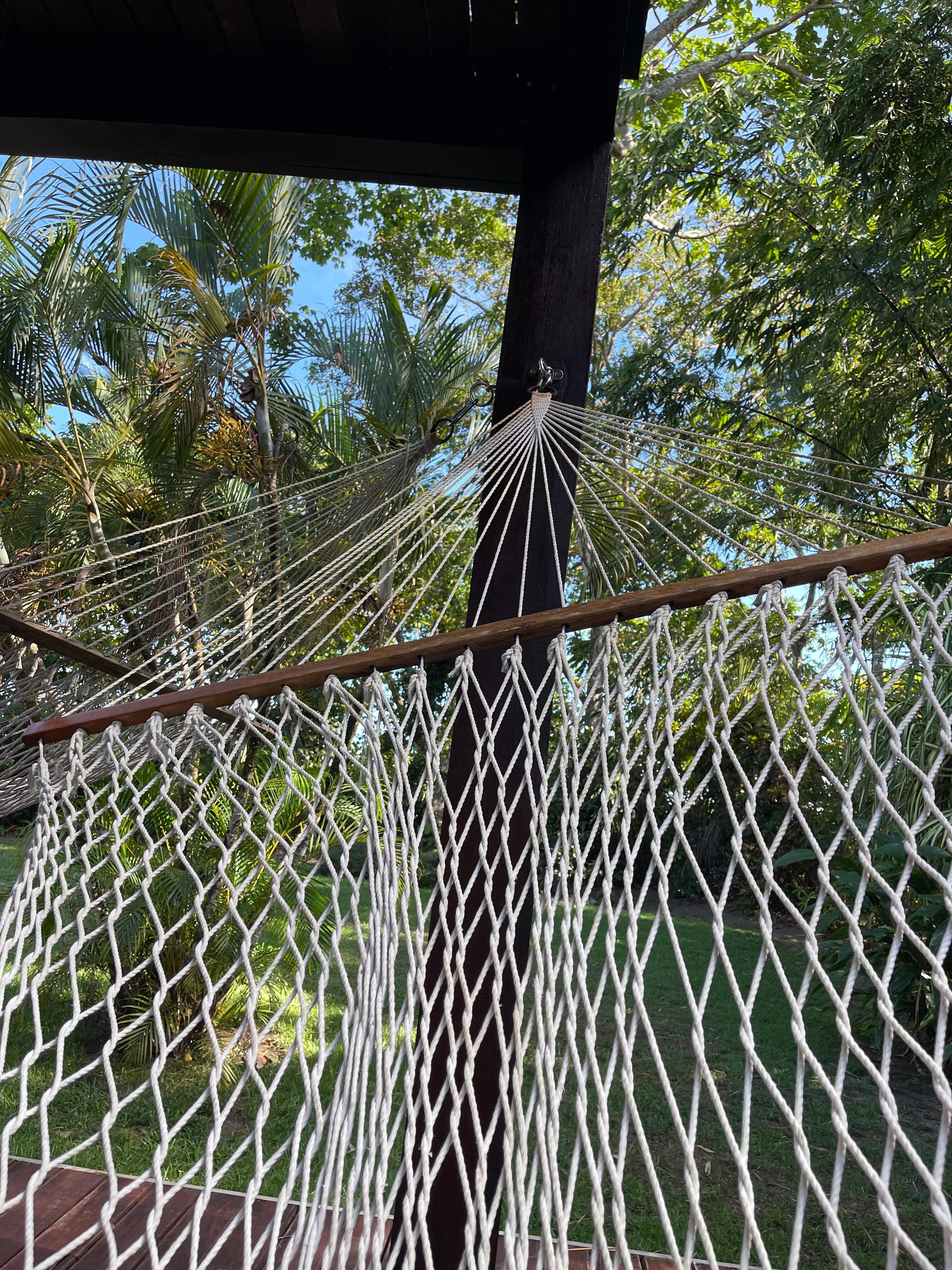 My hammock 