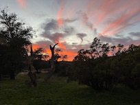 Sunset from the back yard