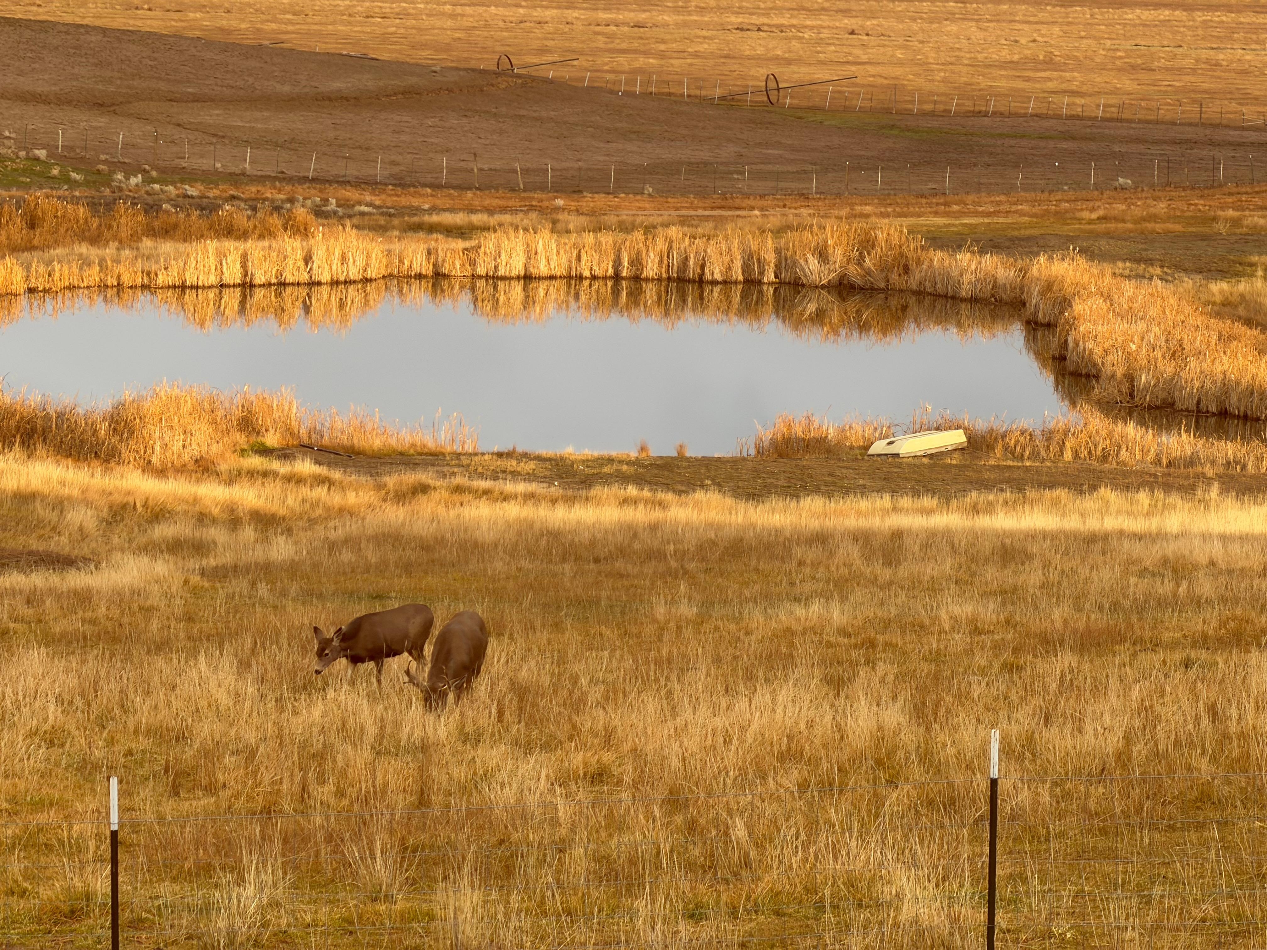 View out the front door