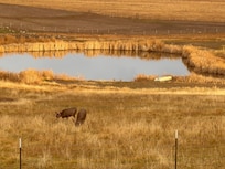 View out the front door