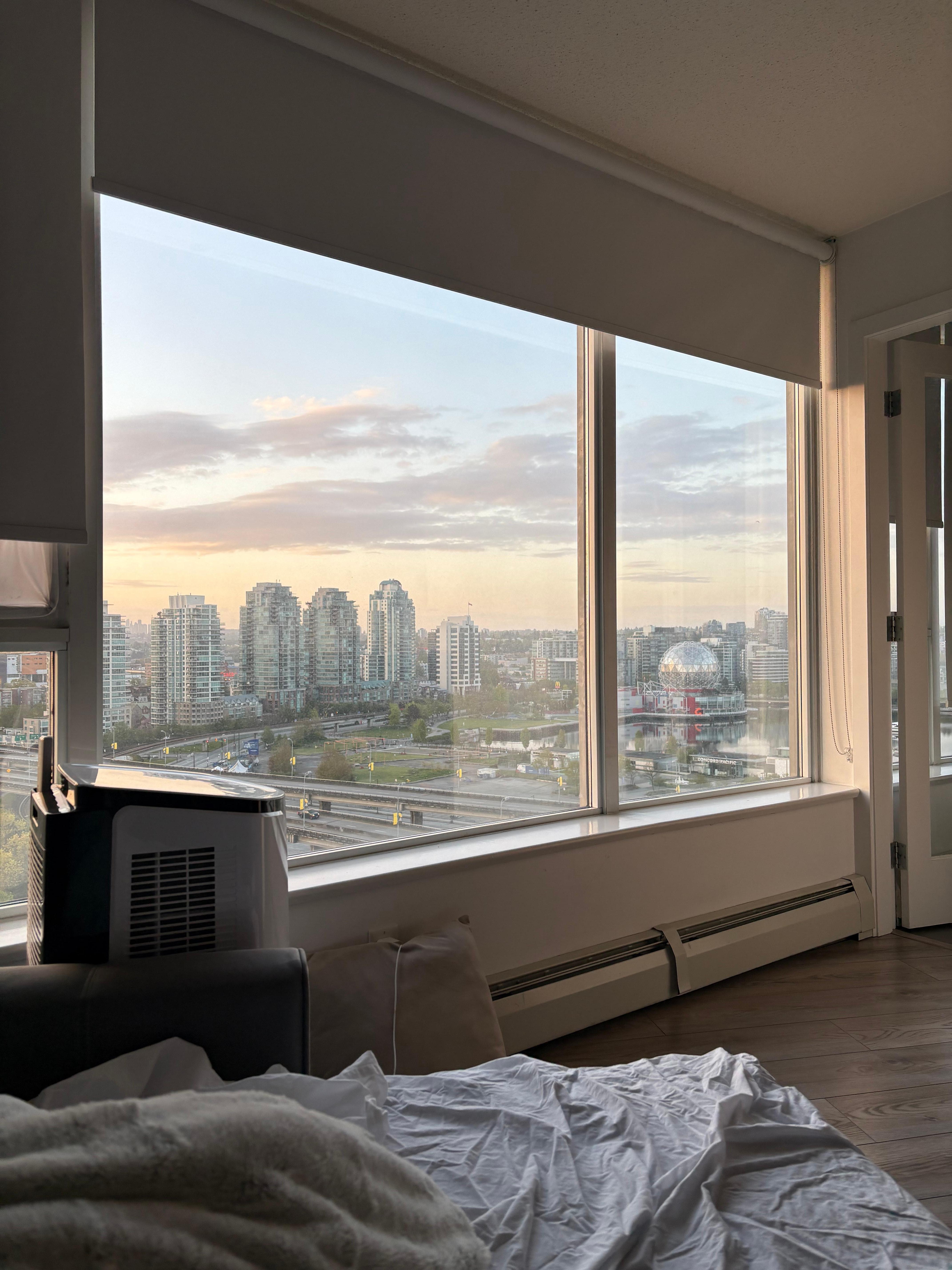 Morning view!