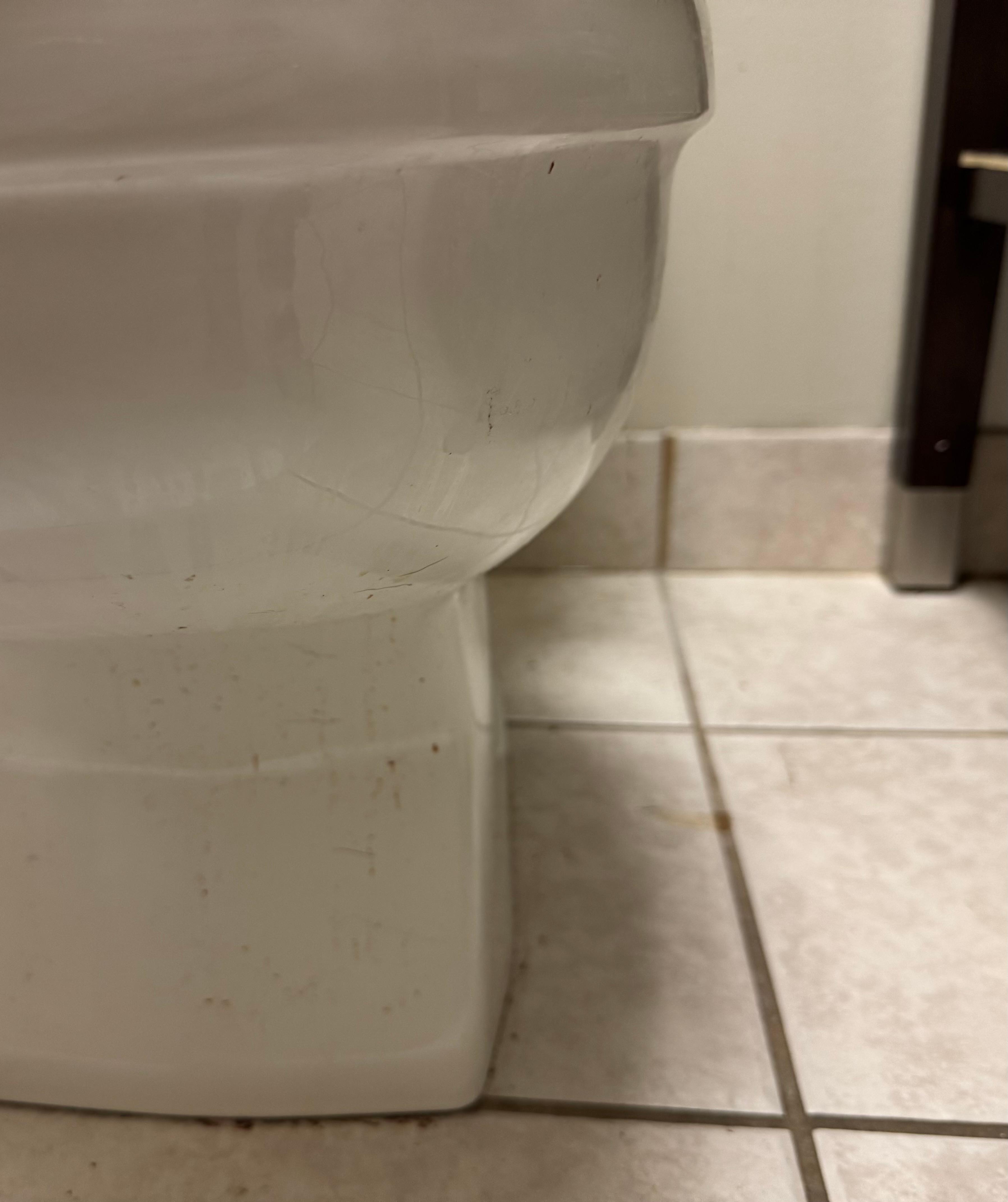 Filthy Toilet