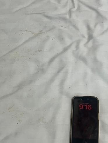 Some of the Blood and other stains on bedding 