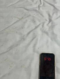 Some of the Blood and other stains on bedding