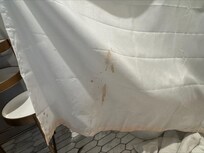 Dirty shower curtain