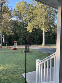 Hummingbirds were so beautiful and playful!