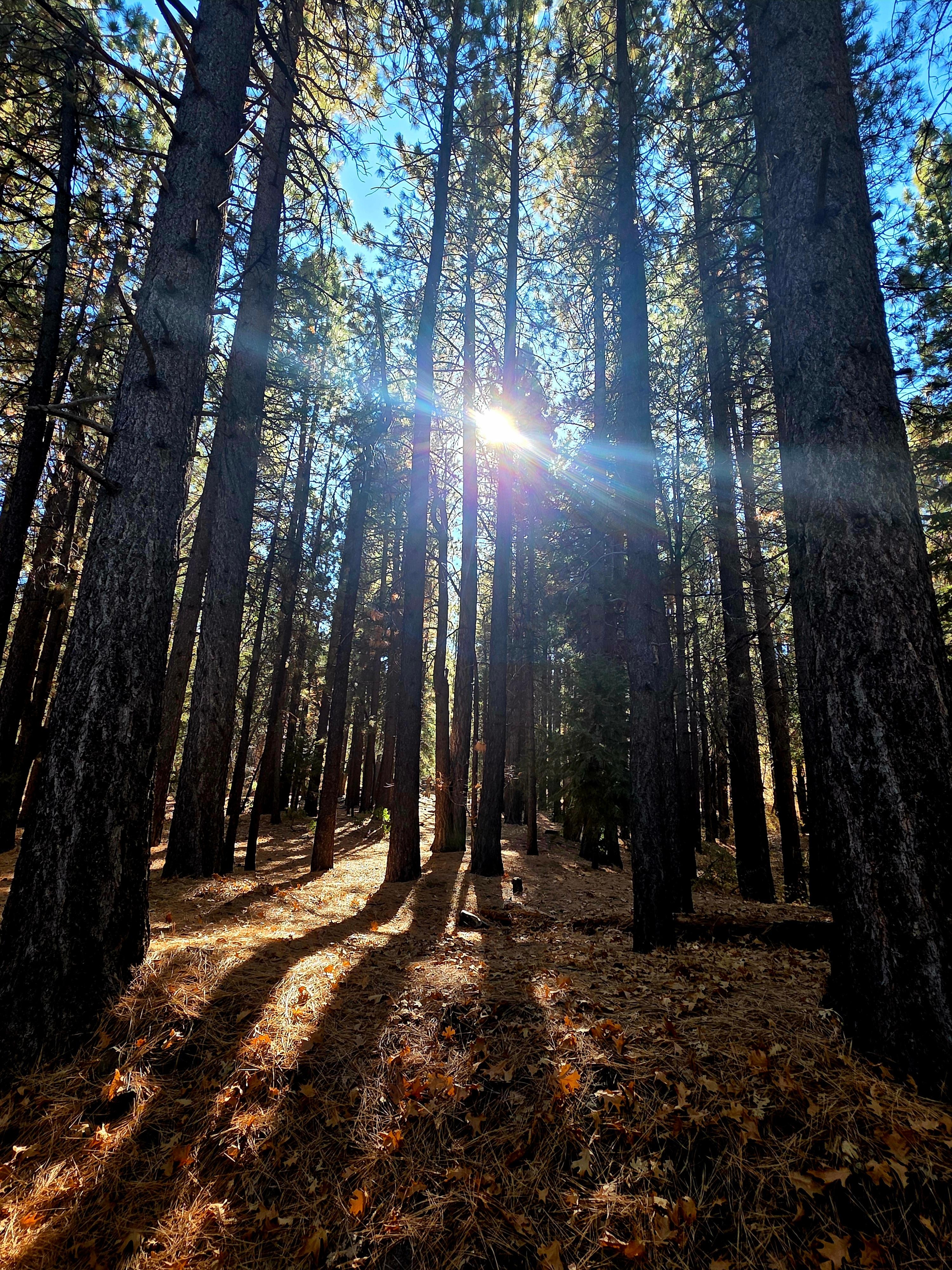 Absolutely beautiful 