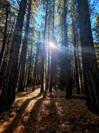 Absolutely beautiful