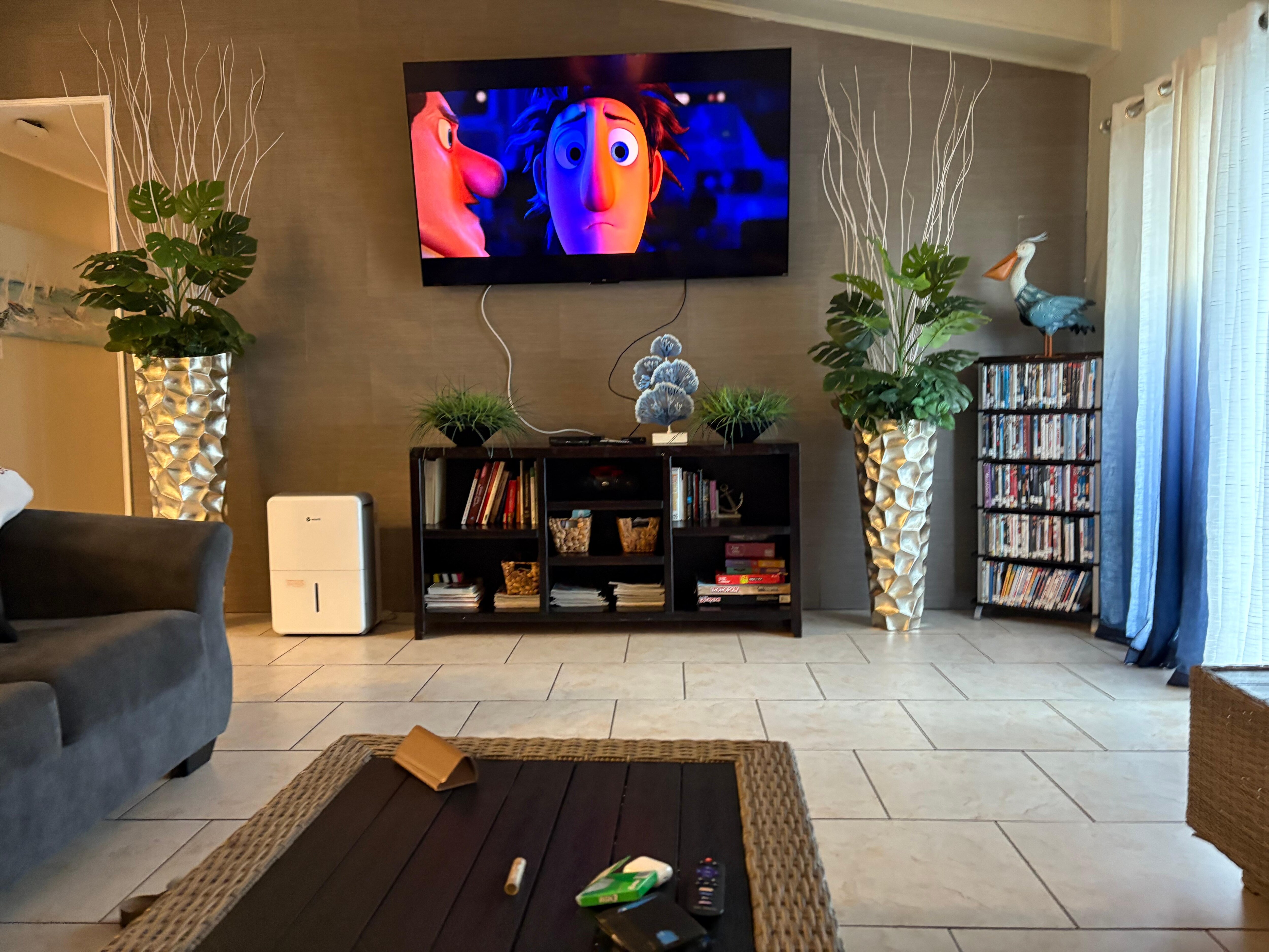 Variety pf movies and games.
