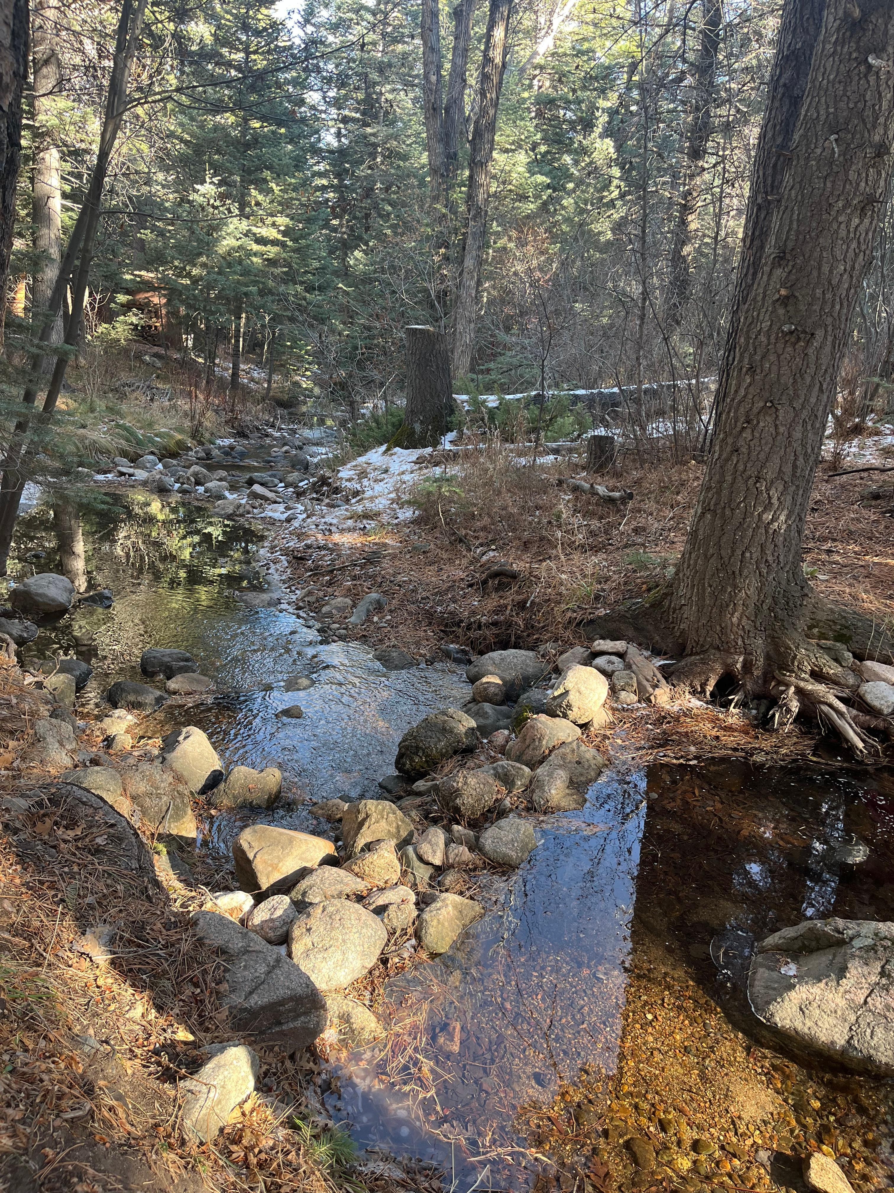 The creek behind the cabin