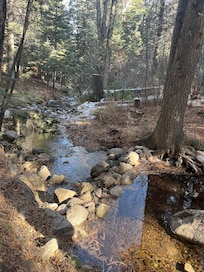 The creek behind the cabin