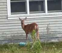 friendly neighbors