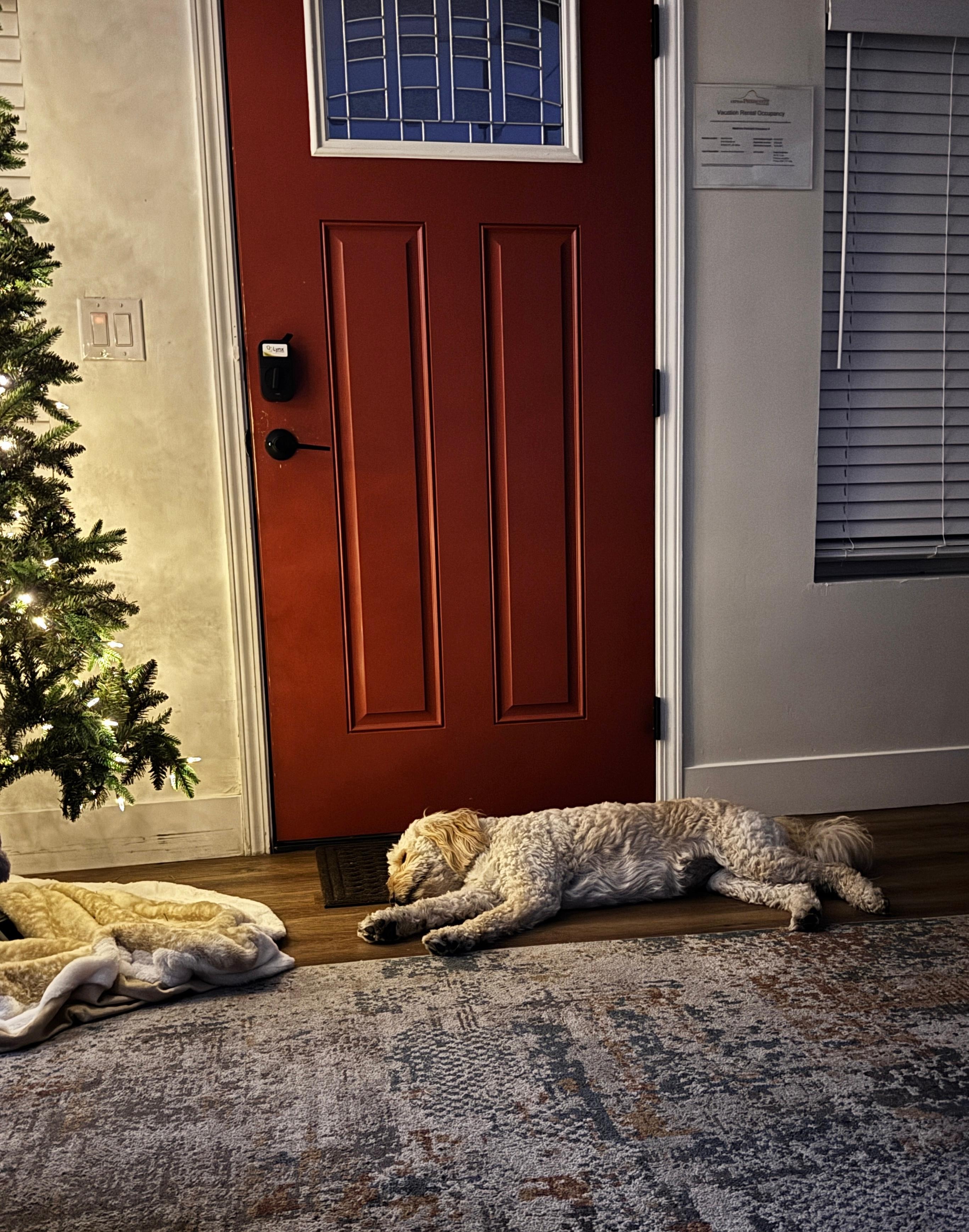 Crashed after all the walking