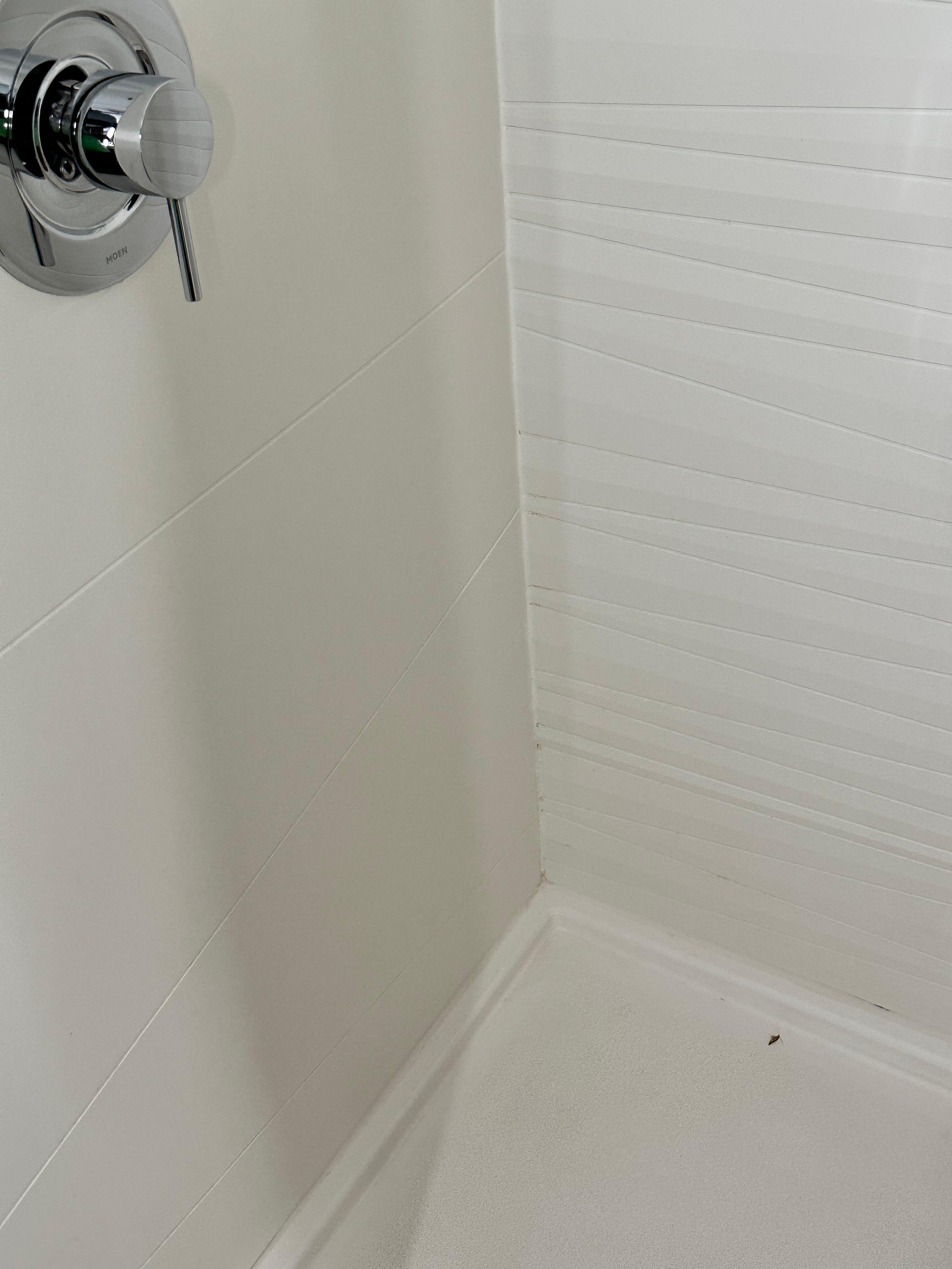Roaches in shower 