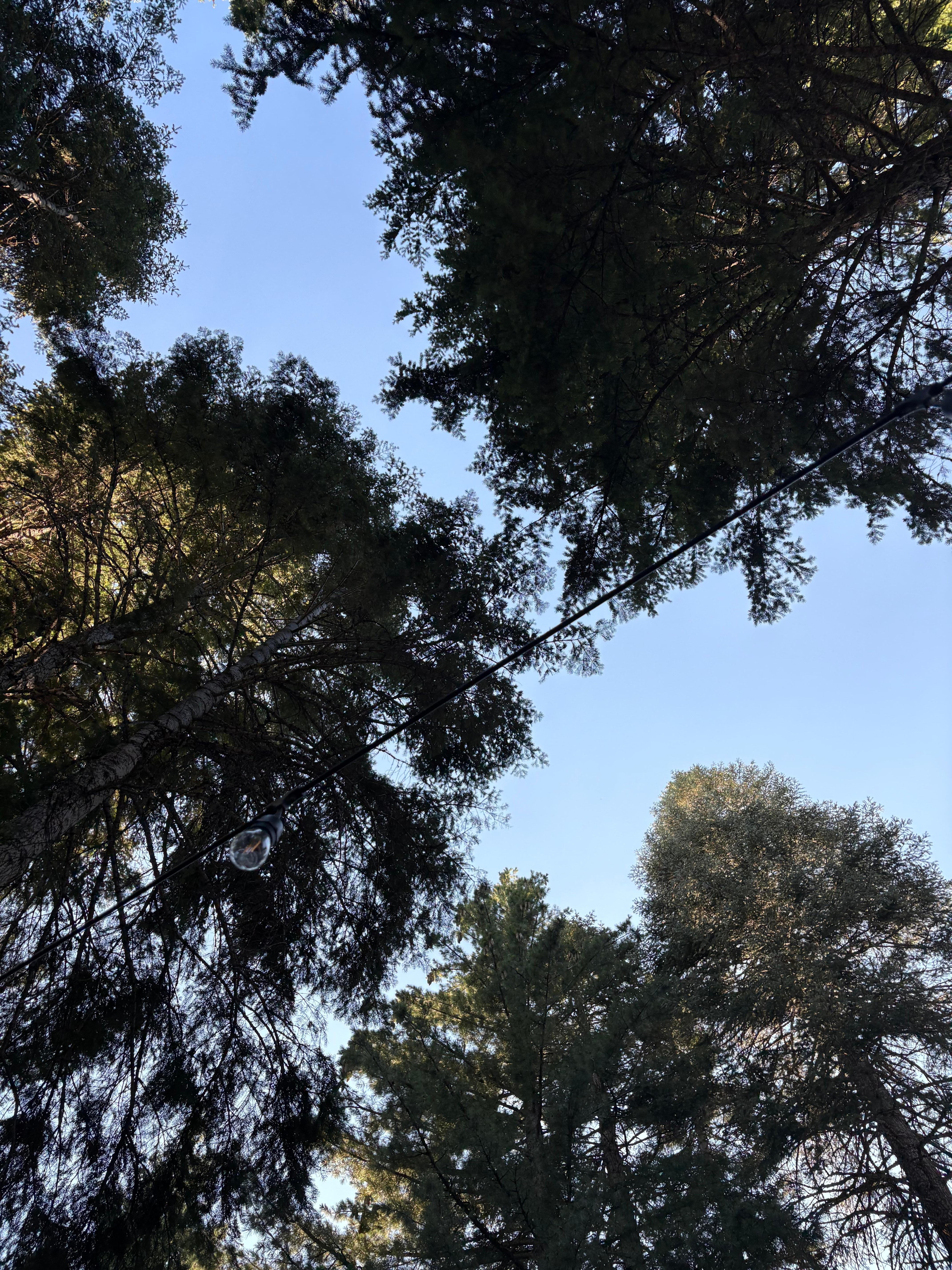 Outside patio…look up!