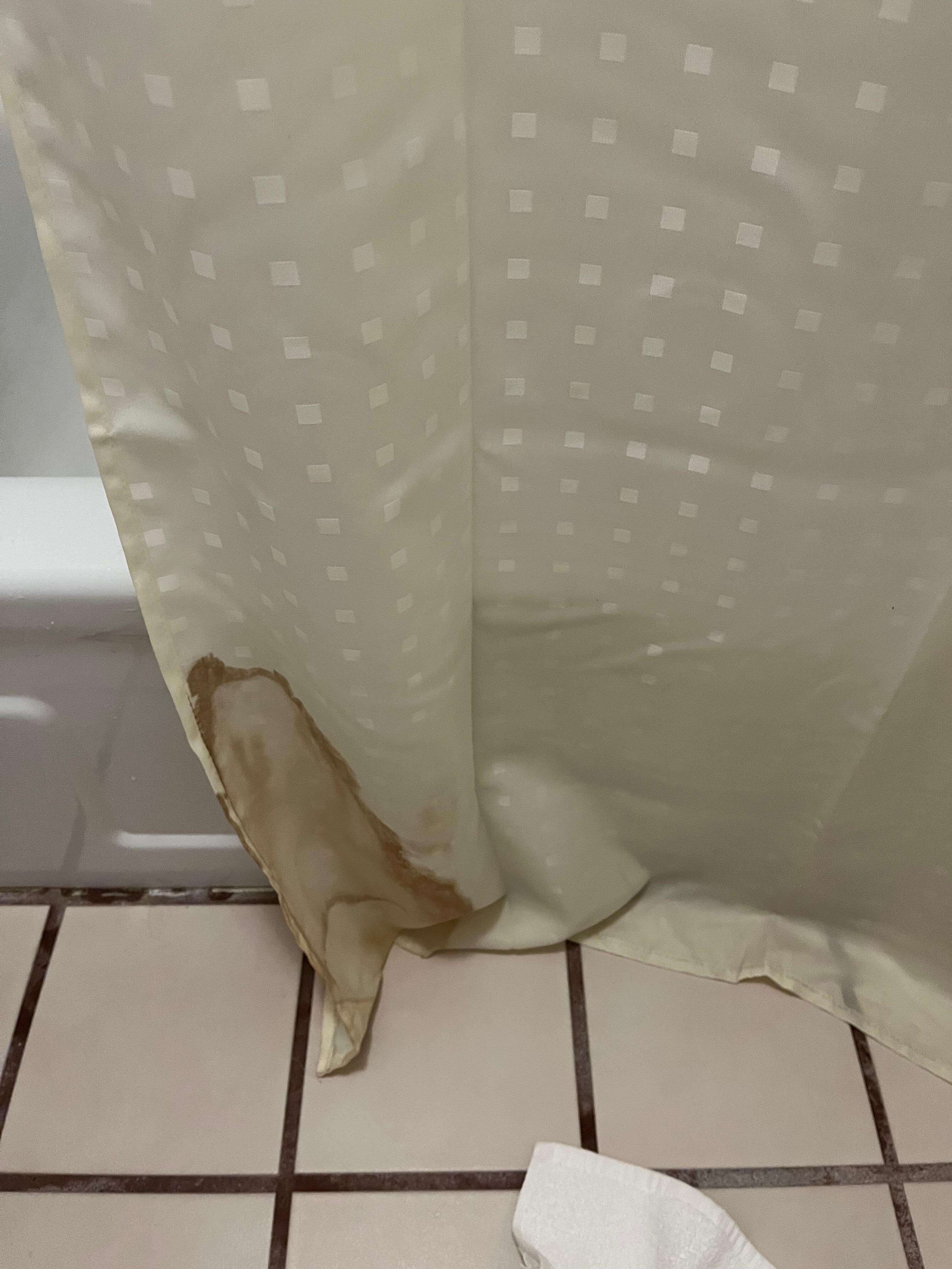 Stained shower curtain