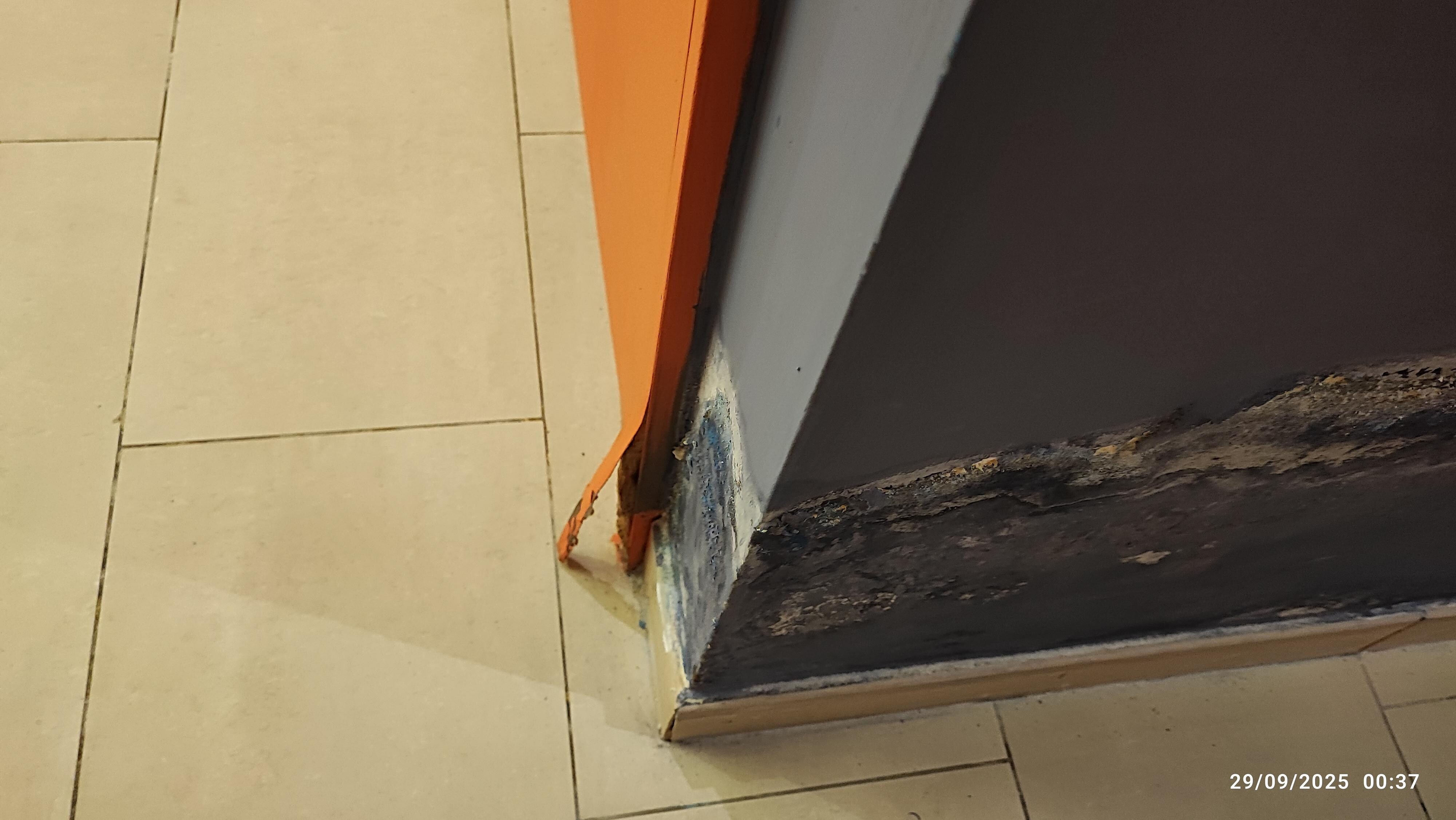 Flaking cupboard furniture (2), plus damp.