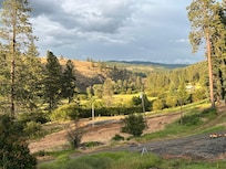 View from the deck after rain.