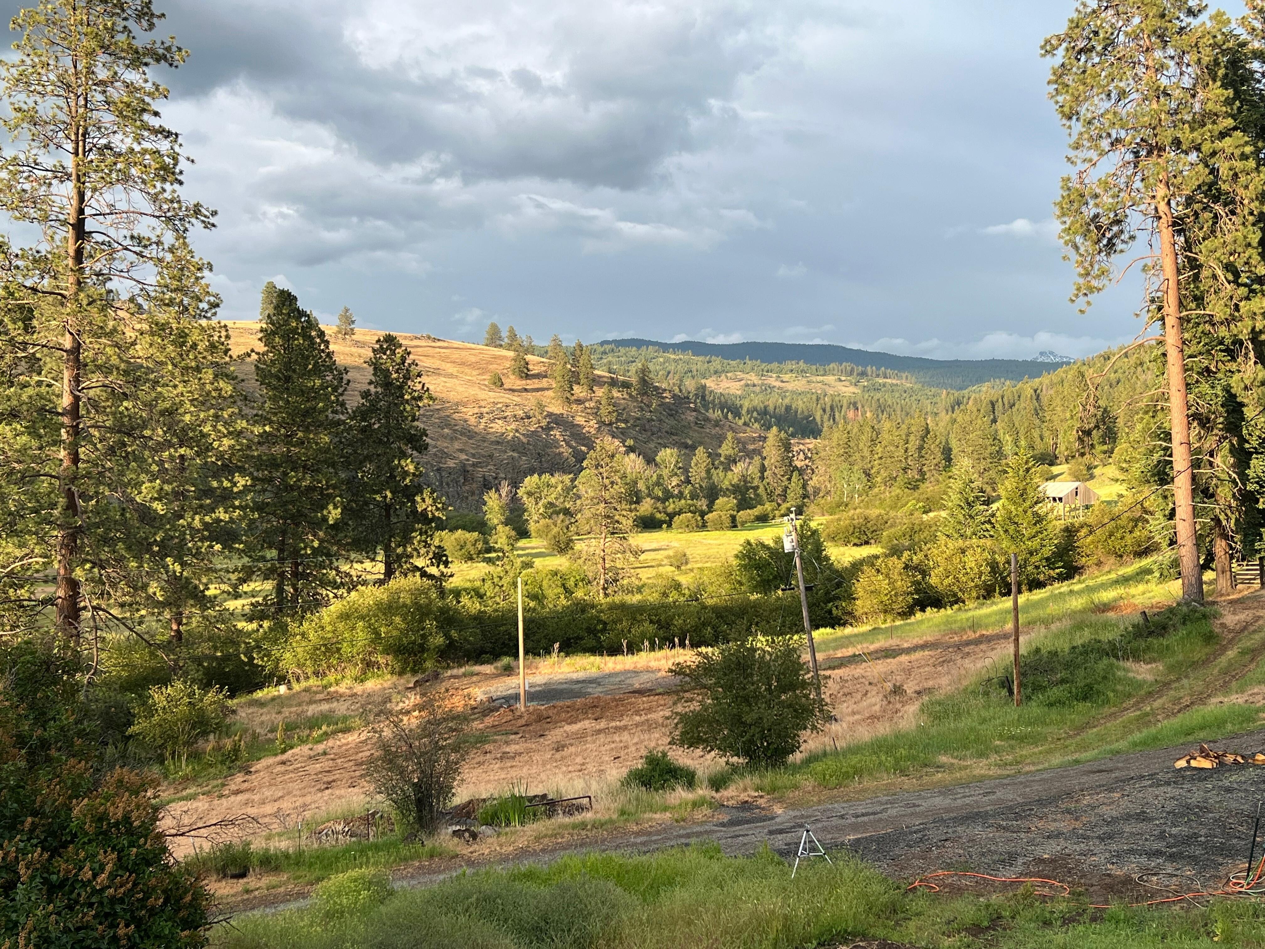 View from the deck after rain.