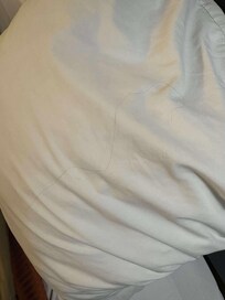 There was a hair on the pillow — clearly from a previous guest