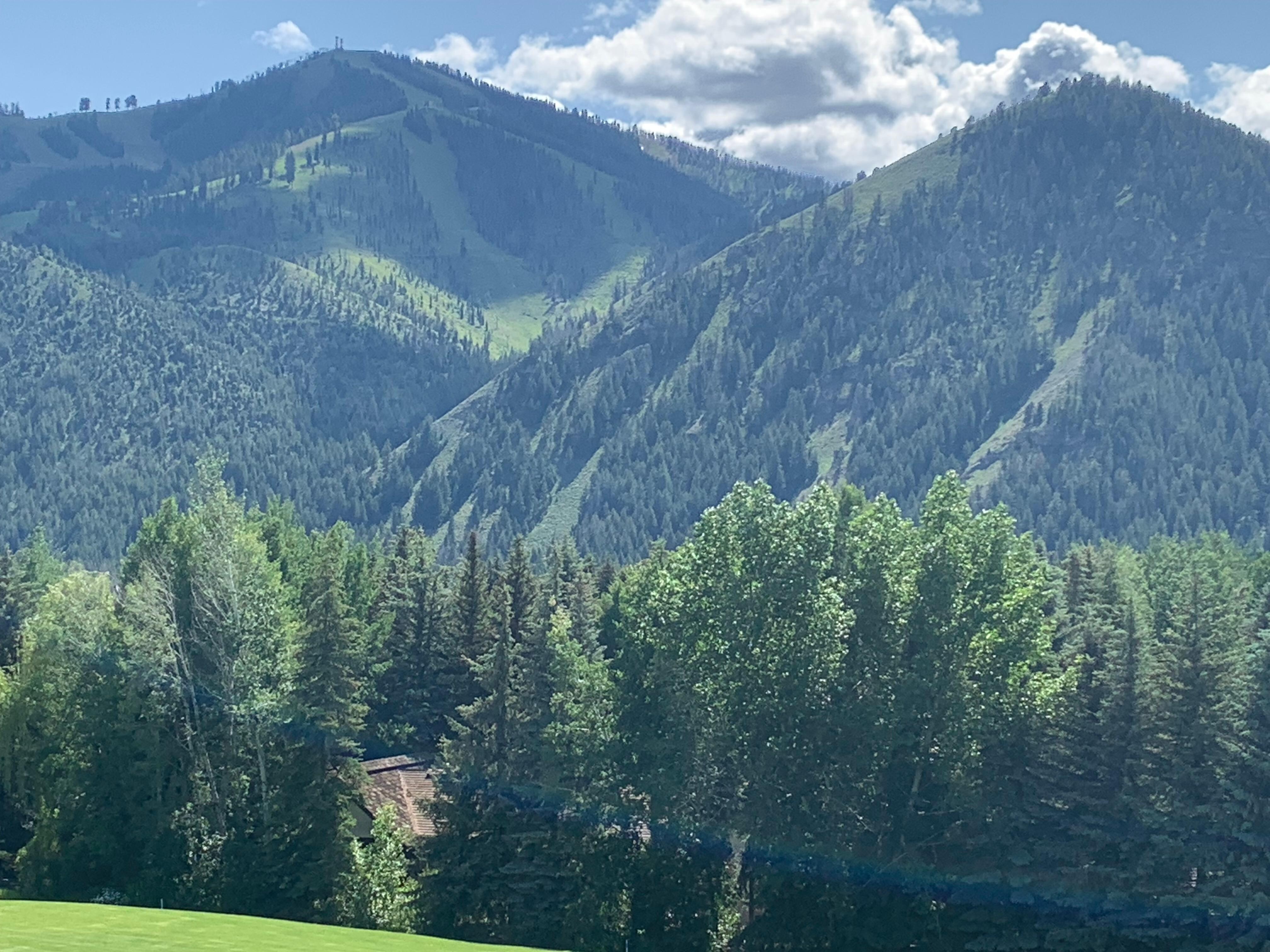 View from deck
