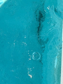 Dirt in pool
Gross