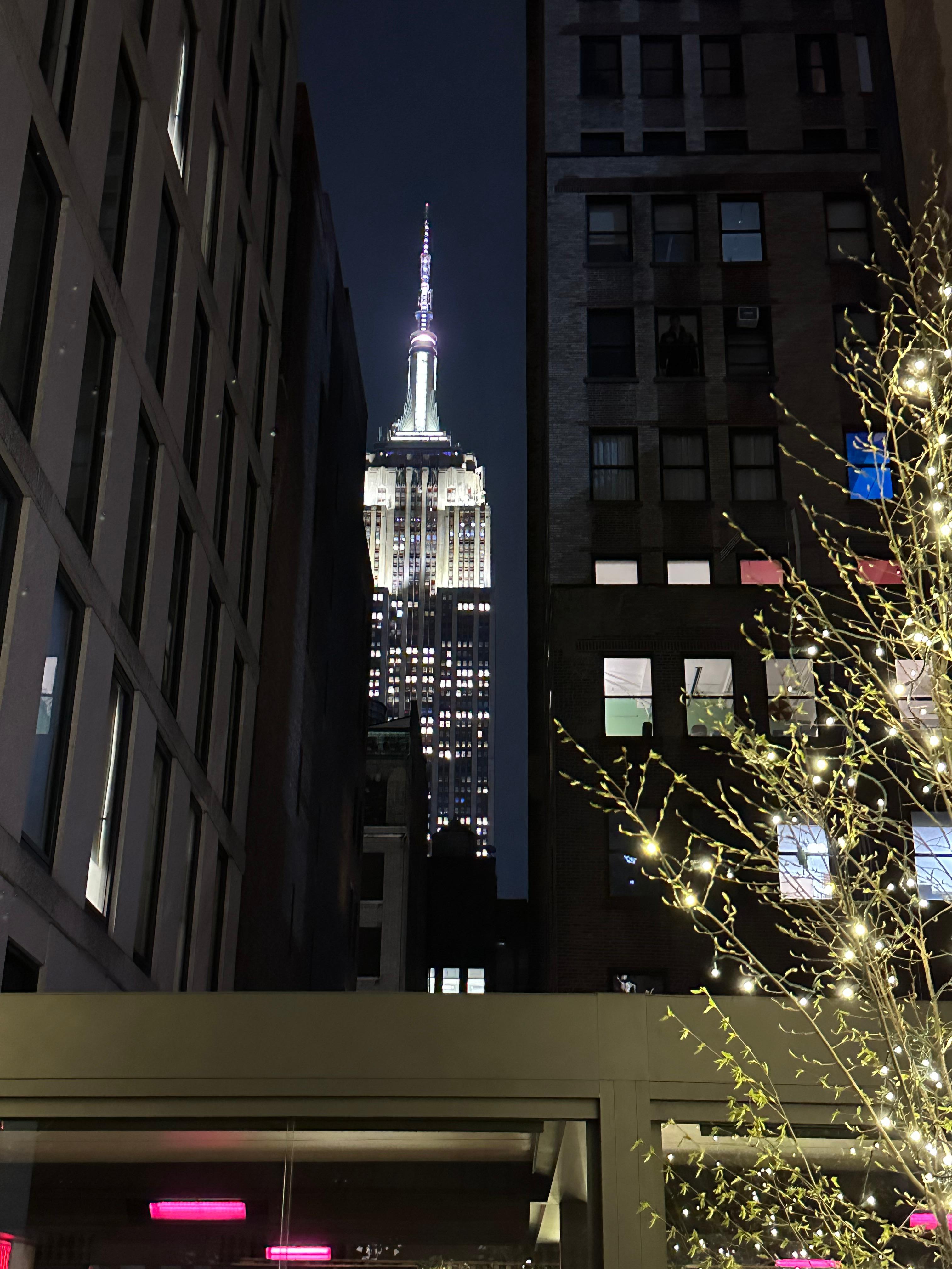 View from the Terrace. 