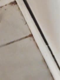 Corner in one of the bedrooms.