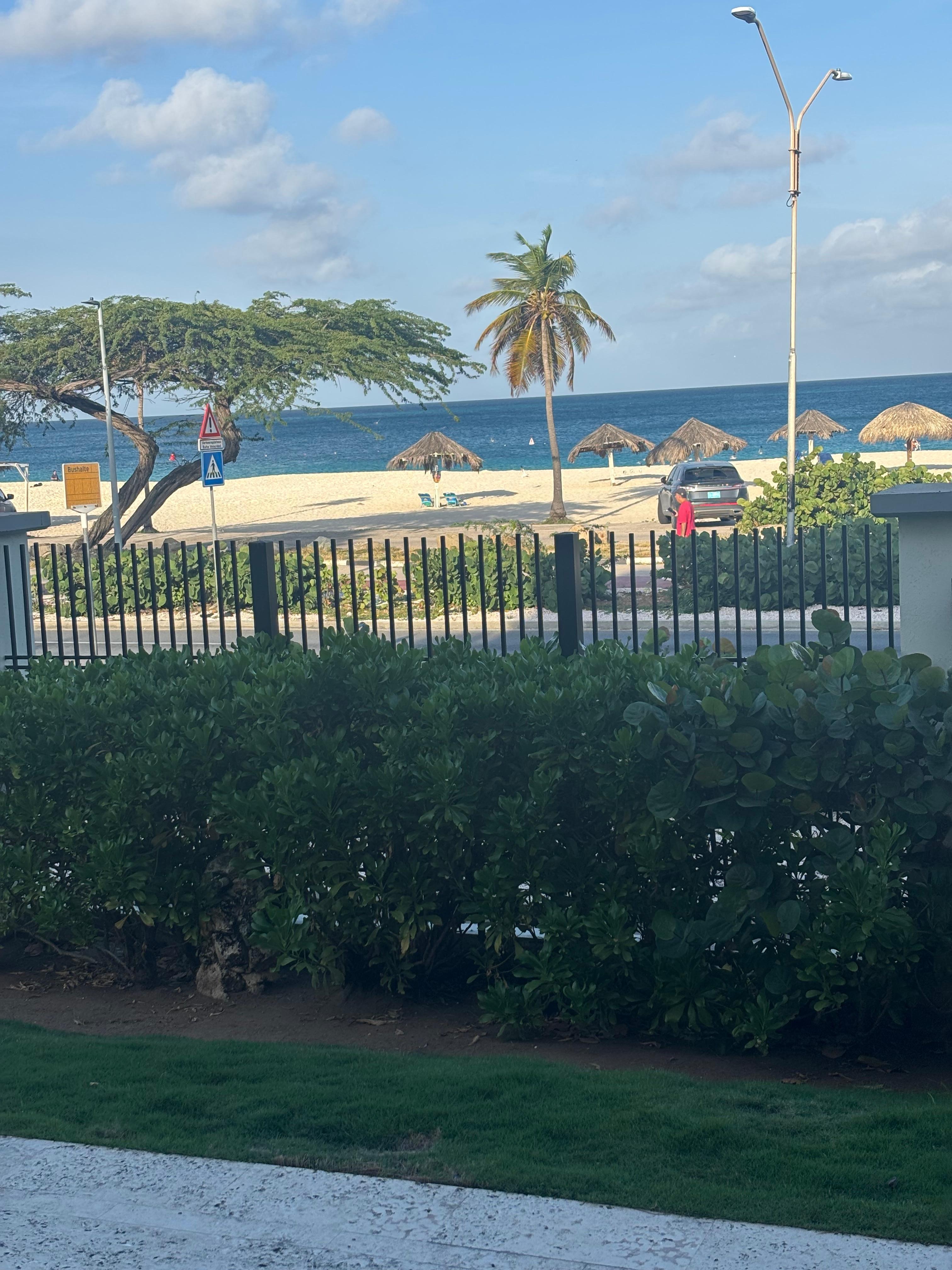 Palapa ready and so close by. 