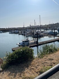 Harbor