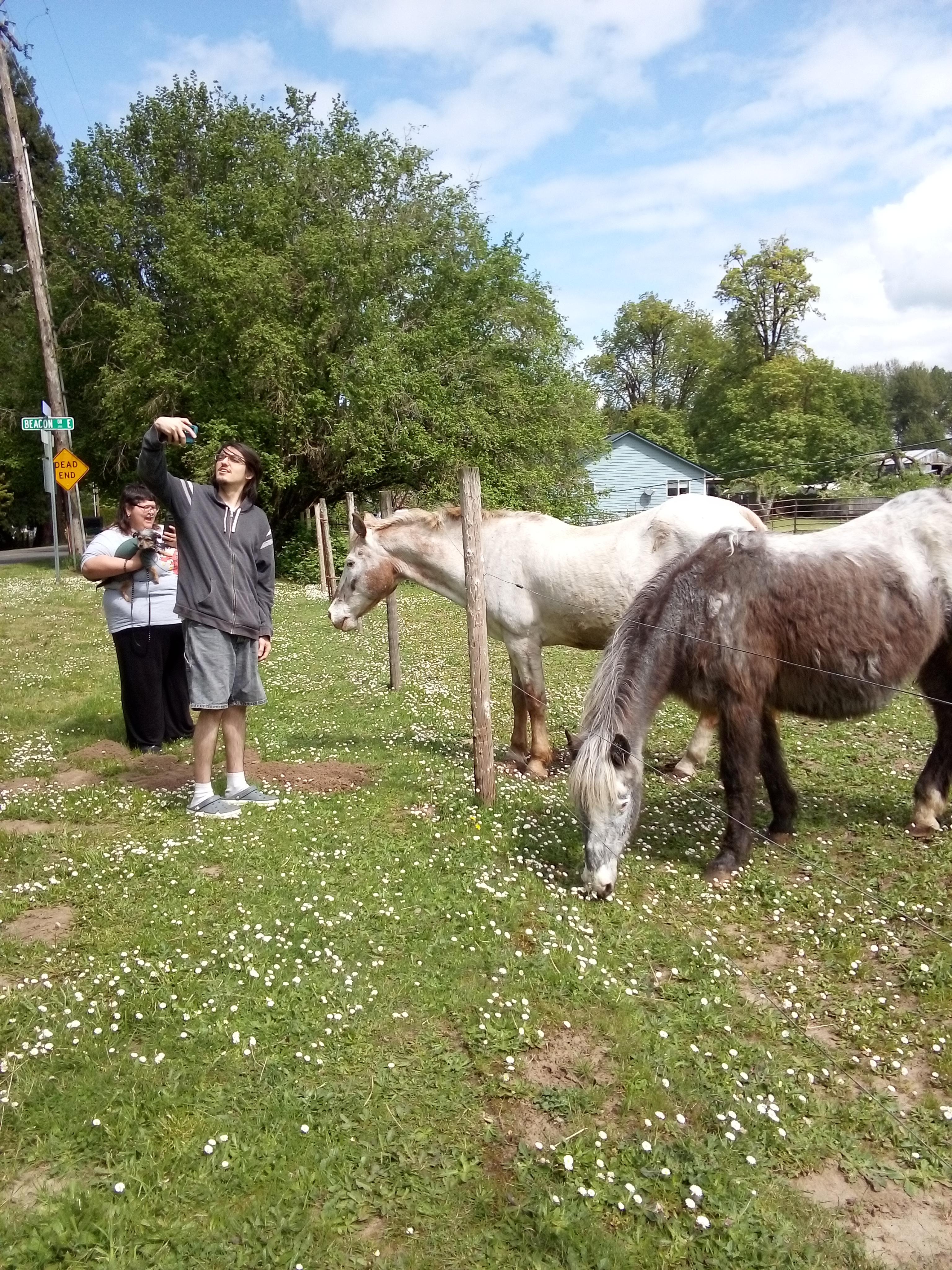We loved the neighborhood horses in the pasture of daisies!