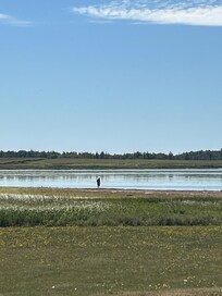 Sand bar