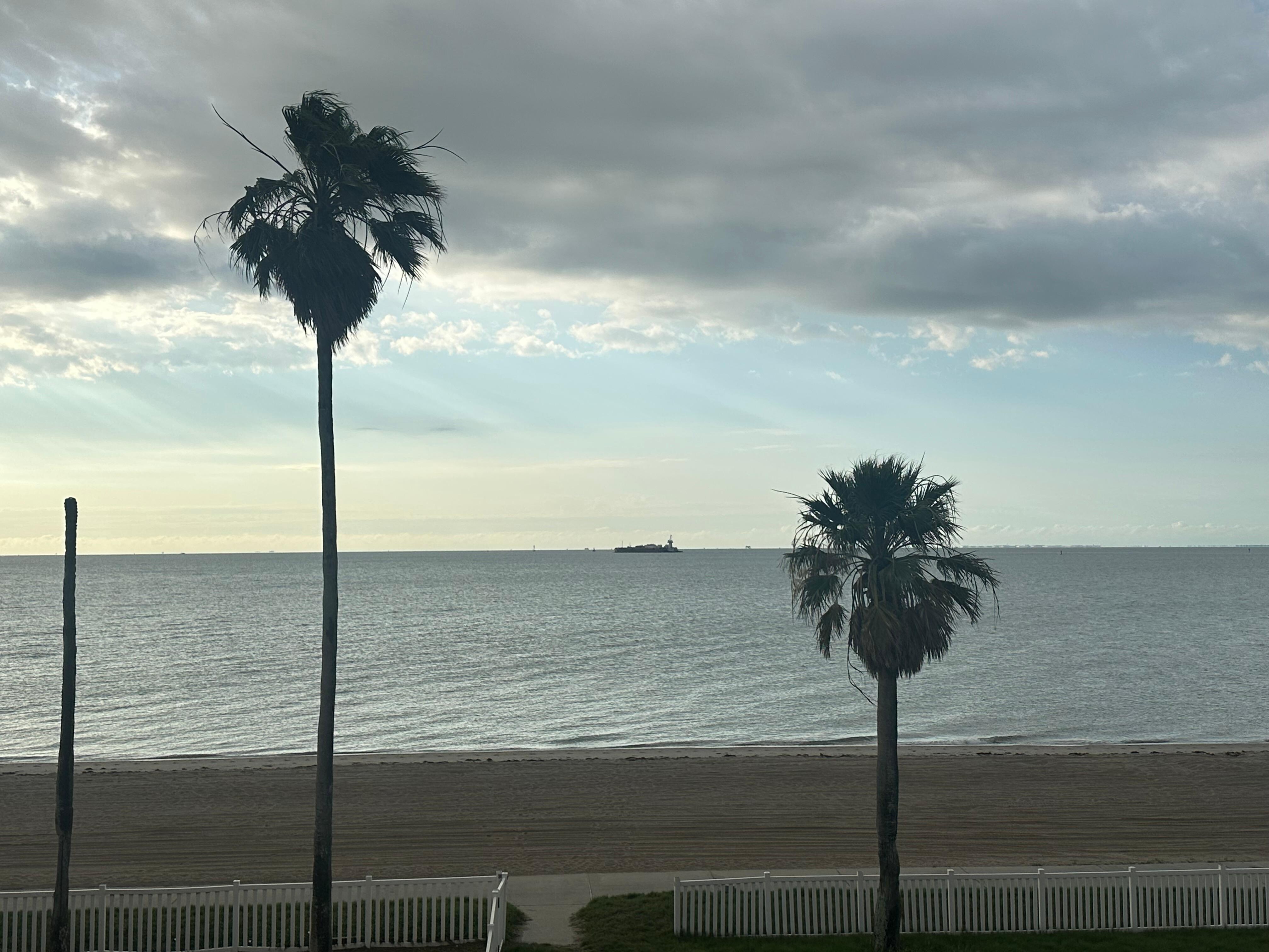 View from the room. 
