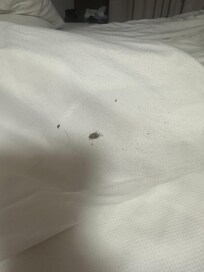 On the pillow