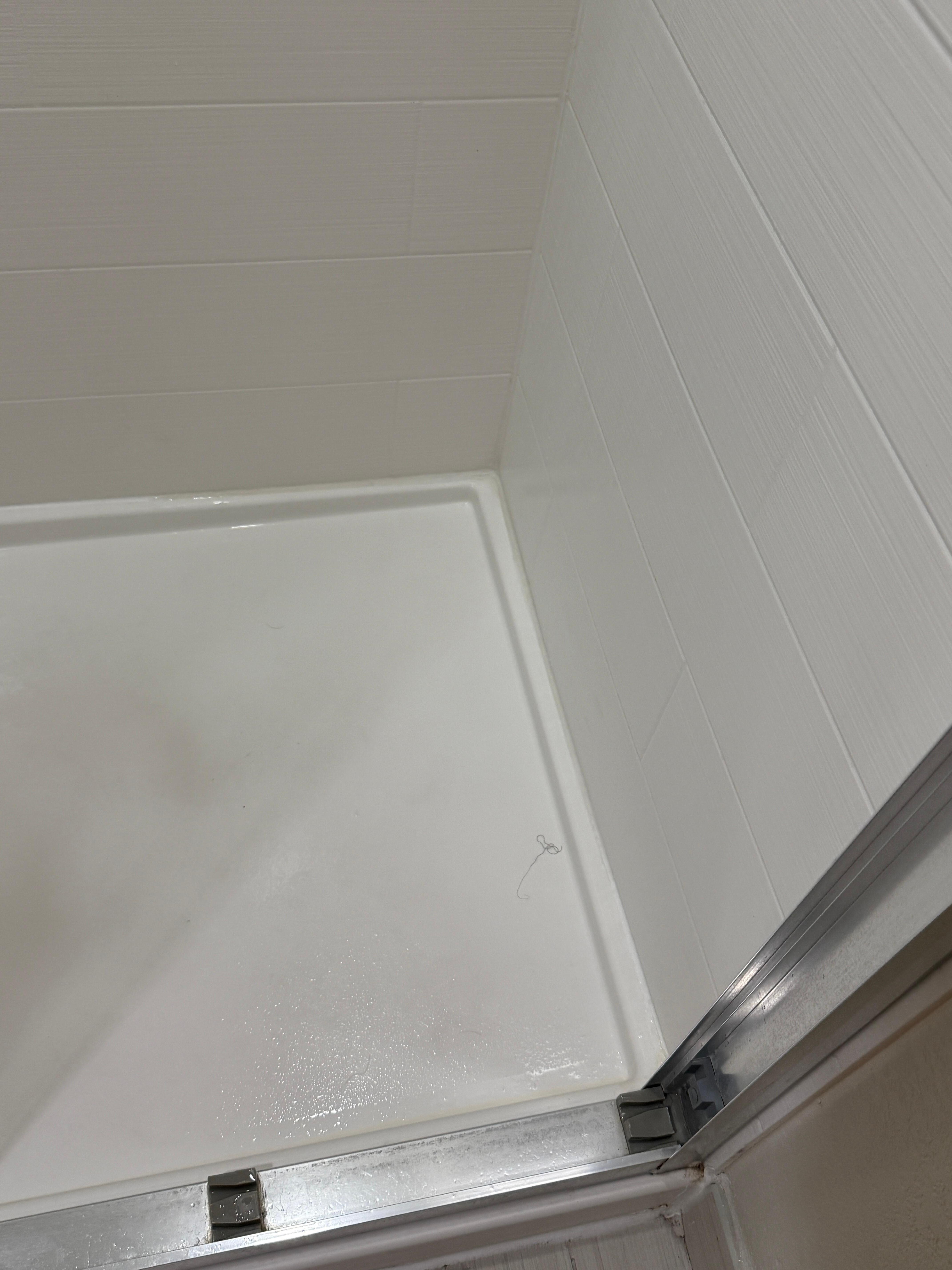 Hair in the shower AFTER cleaning