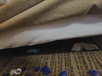 Room wasn't clean properly someone's dirty socks and deodorant under bed