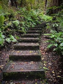 Trail near accommodation