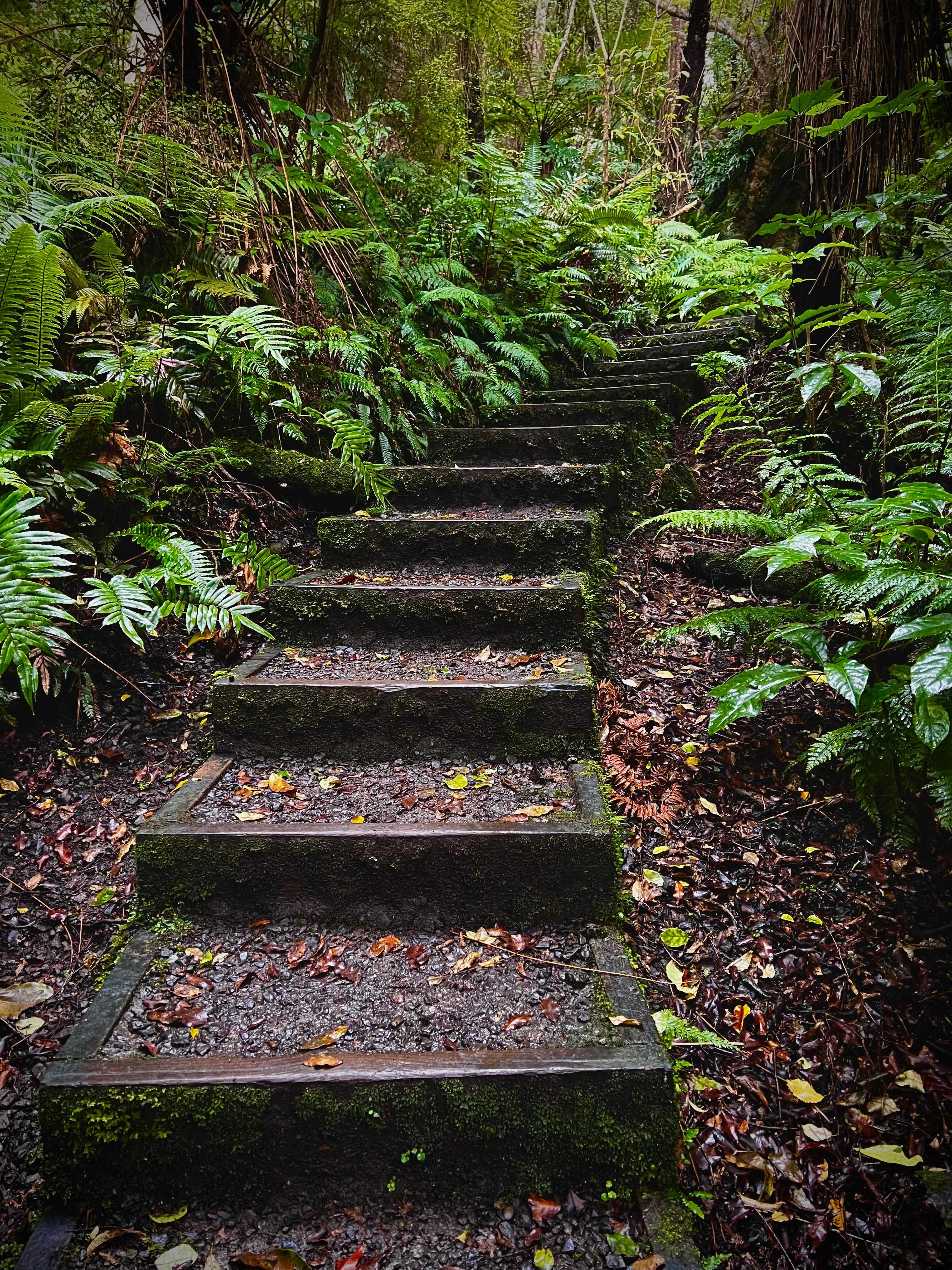 Trail near accommodation 