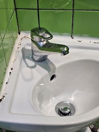 Black mould around basin