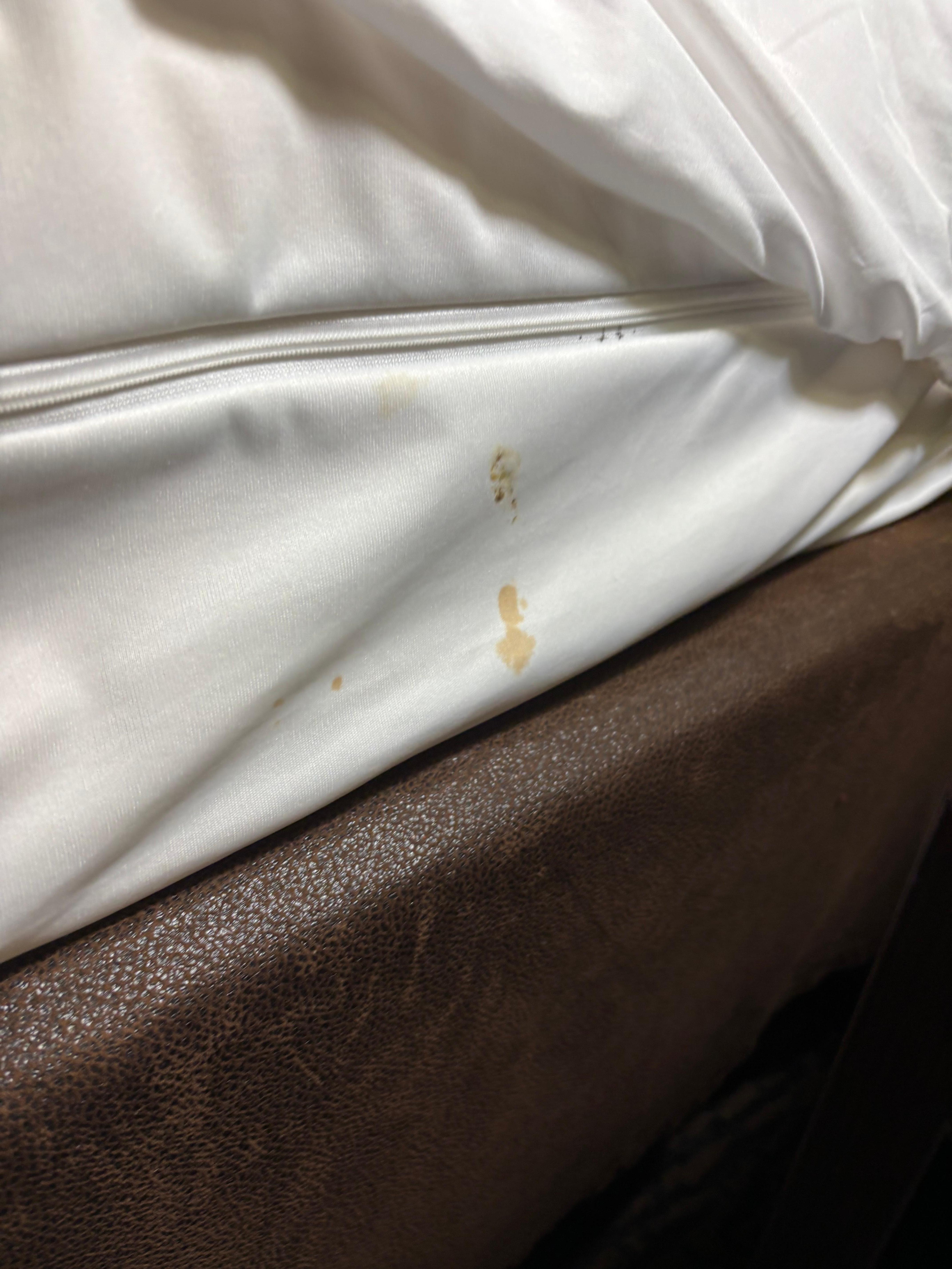 Found this under the freshly cleaned sheets 