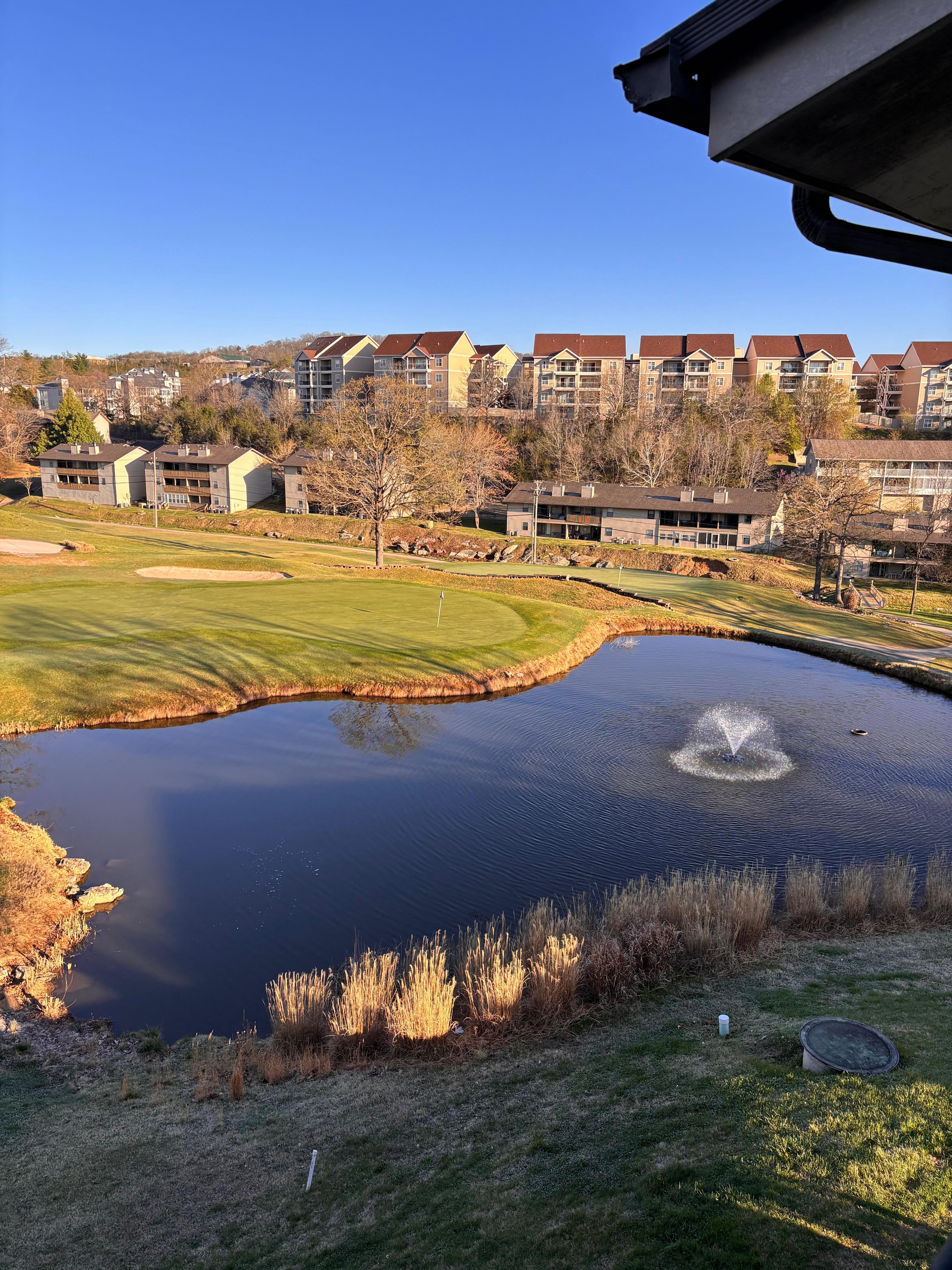The beautiful pond view from the balcony. 