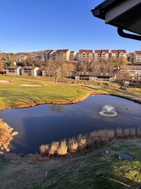 The beautiful pond view from the balcony.