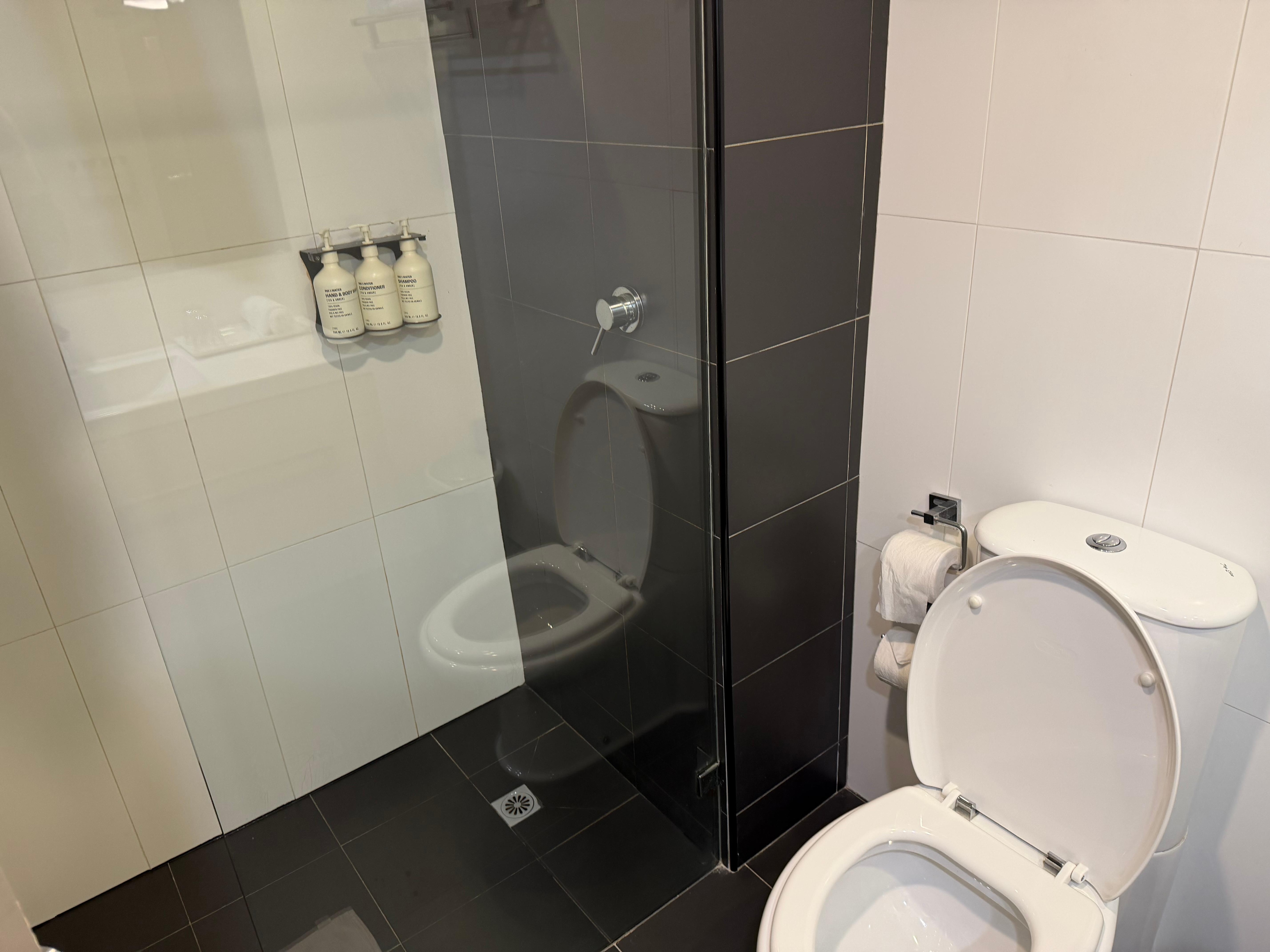 トイレはウォシュレット無し、海外標準かな？