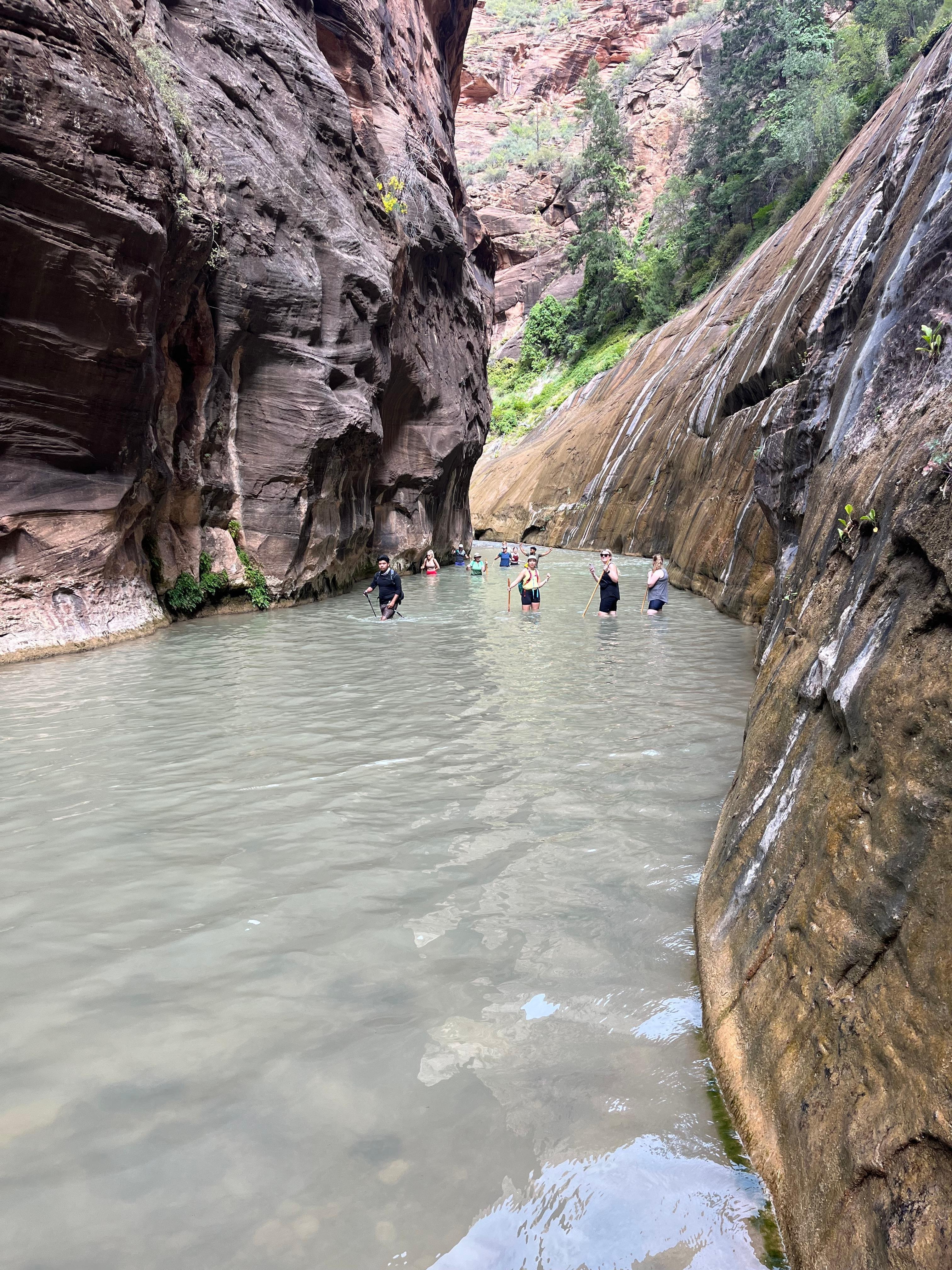 The Narrows in Zion 