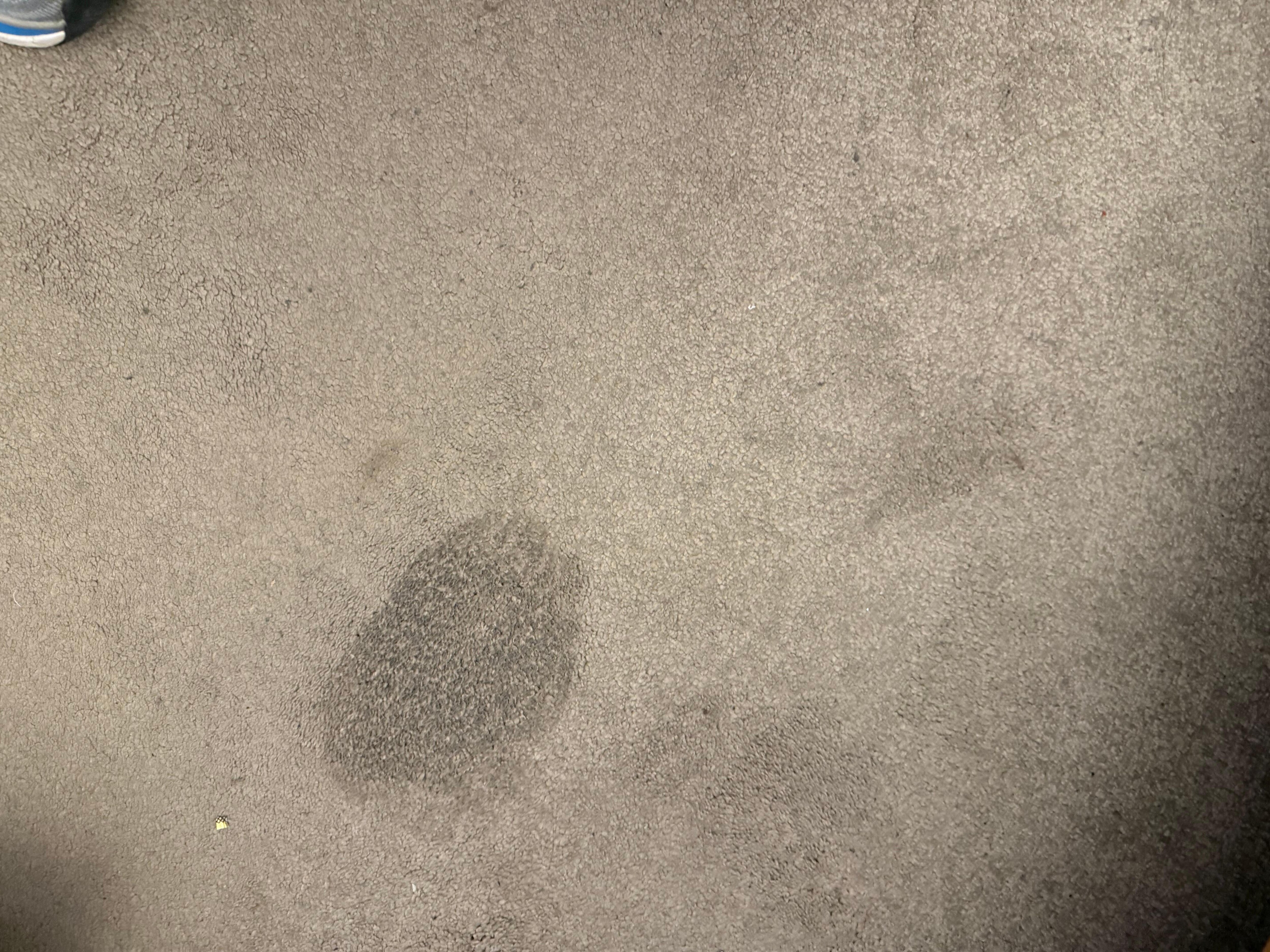  Hot iron on carpet. 